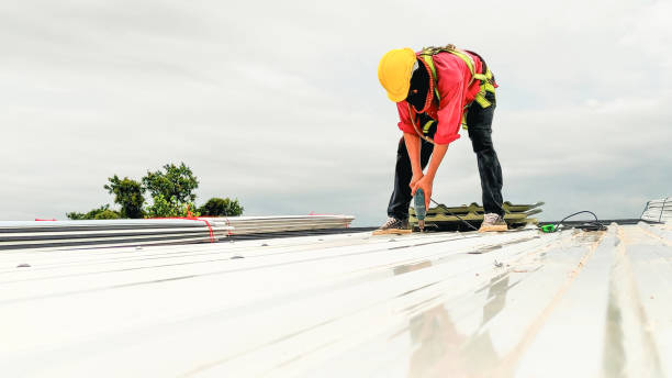 Best Rubber Roofing (EPDM, TPO)  in Spring City, TN